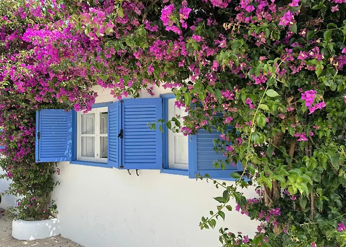 Casa Mellis Aguamarga