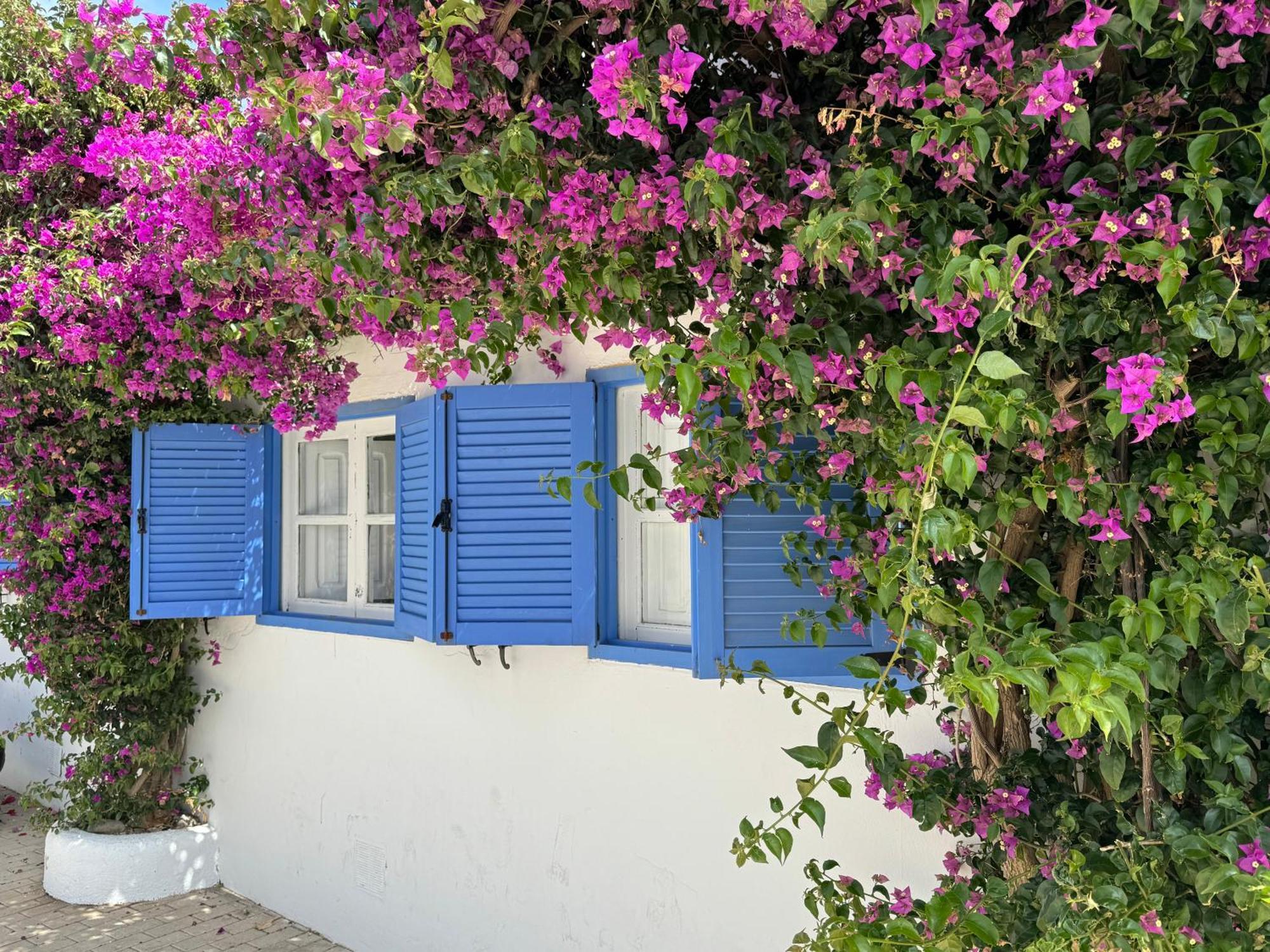 Apartment Casa Mellis Aguamarga Agua Amarga (Almeria)
